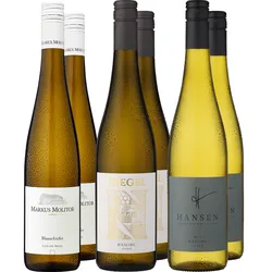 6er-Probierpaket »Riesling Best Buy«